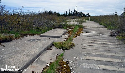 EllistonRidgeASNLCN_recent_ground-view-1.jpg