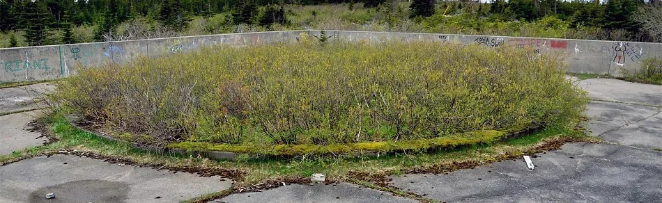 EllistonRidgeASNLCN_recent_ground-view-2.jpg