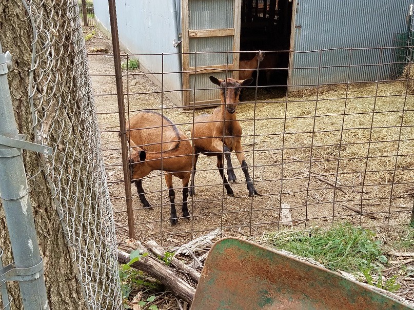 NorthfieldMN-GFA_Recent_17Sep2018_neighbors.jpg